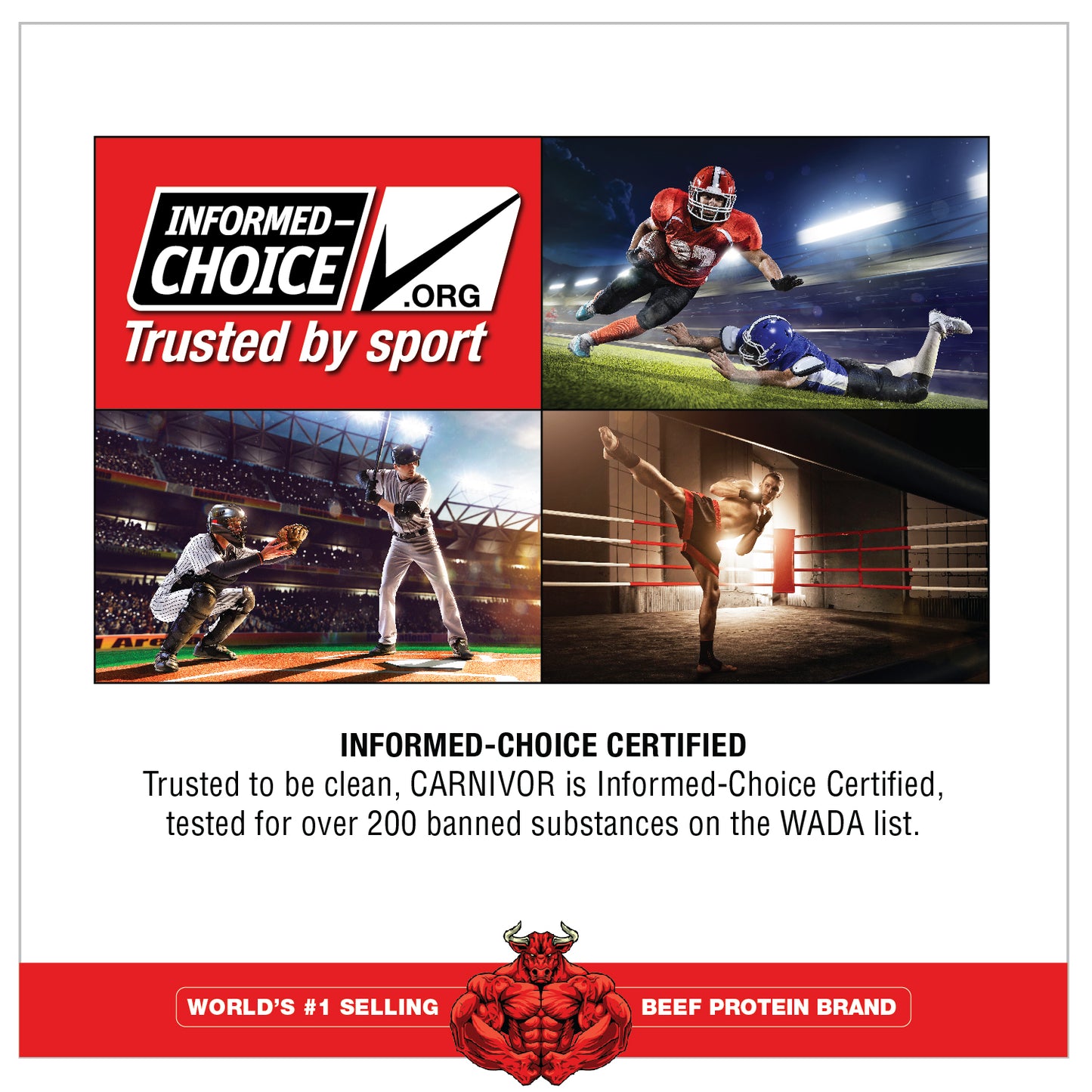 MuscleMeds CARNIVOR Beef Protein Isolate