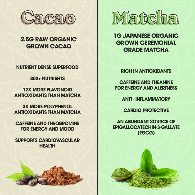 Fit&Lean Cacao Matcha