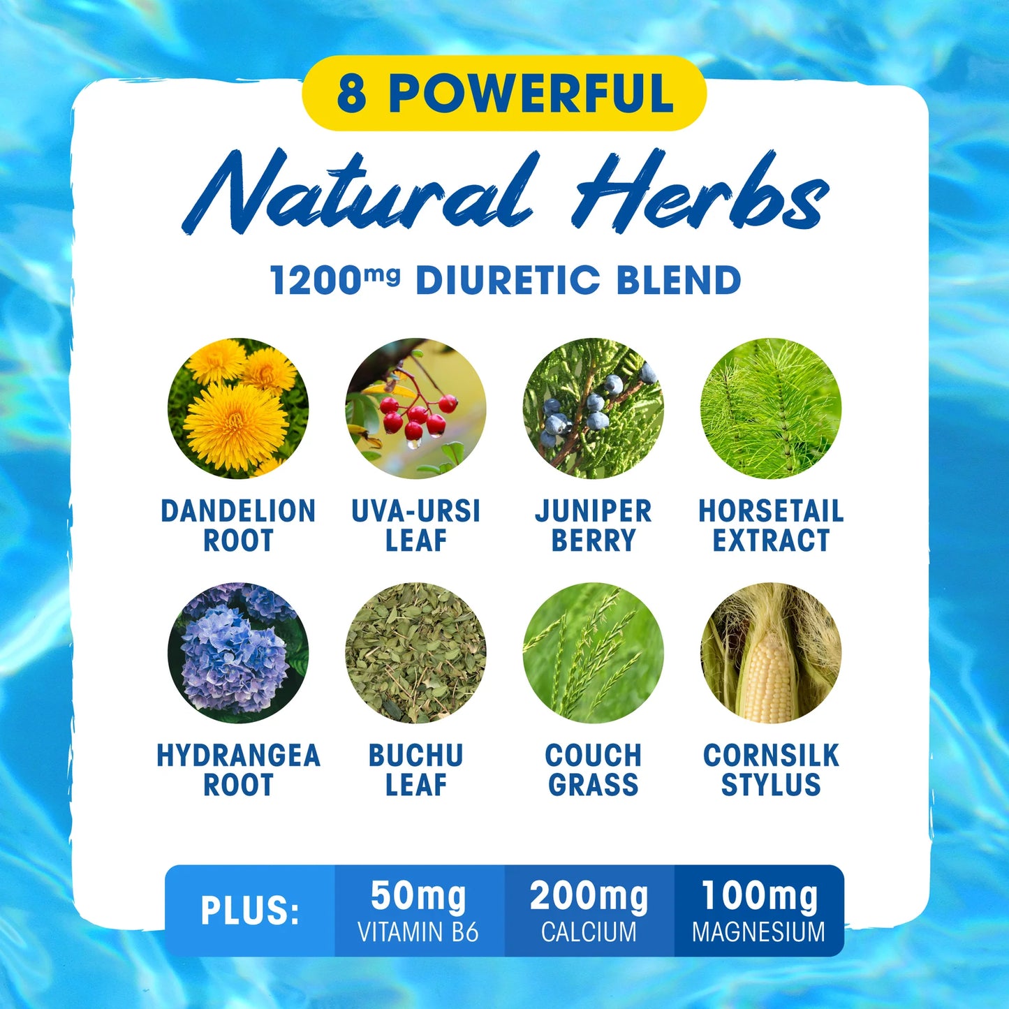 MHP Xpel Natural Diuretic Caffeine Free (80 Caps)